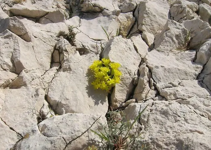 Ella Апартаменты Врси