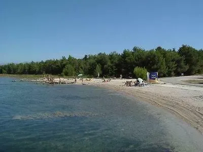 Ella * Vrsi